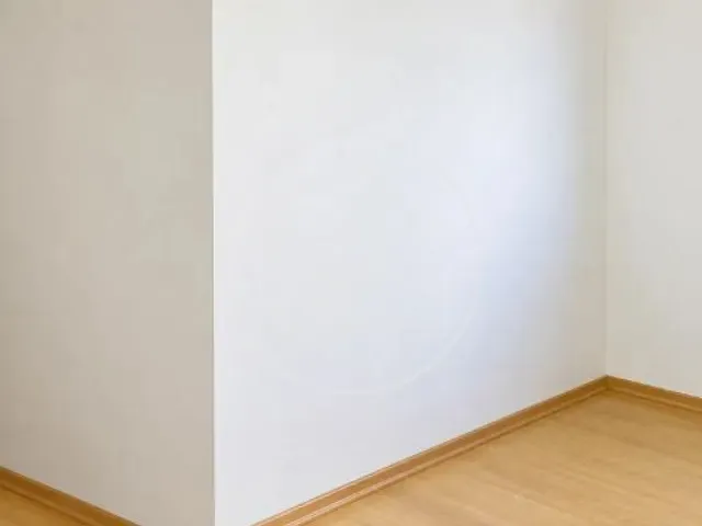 Apartamento com 45m² 2 quartos e 1 banheiro, para alugar, no bairro Santo Amaro em São Paulo