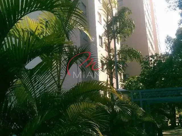 Apartamento 3 quartos e 1 banheiro, para alugar, no bairro Jardim Boa Vista (Zona Oeste) em São Paulo
