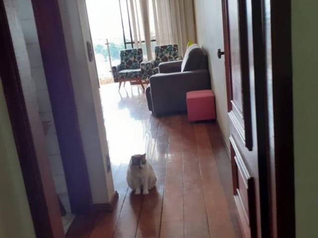 Foto do Apartamento - Apartamento à venda 3 Quartos, 2 Vagas, 82M², KM 18, OSASCO - SP | A Bela Vista Imóveis