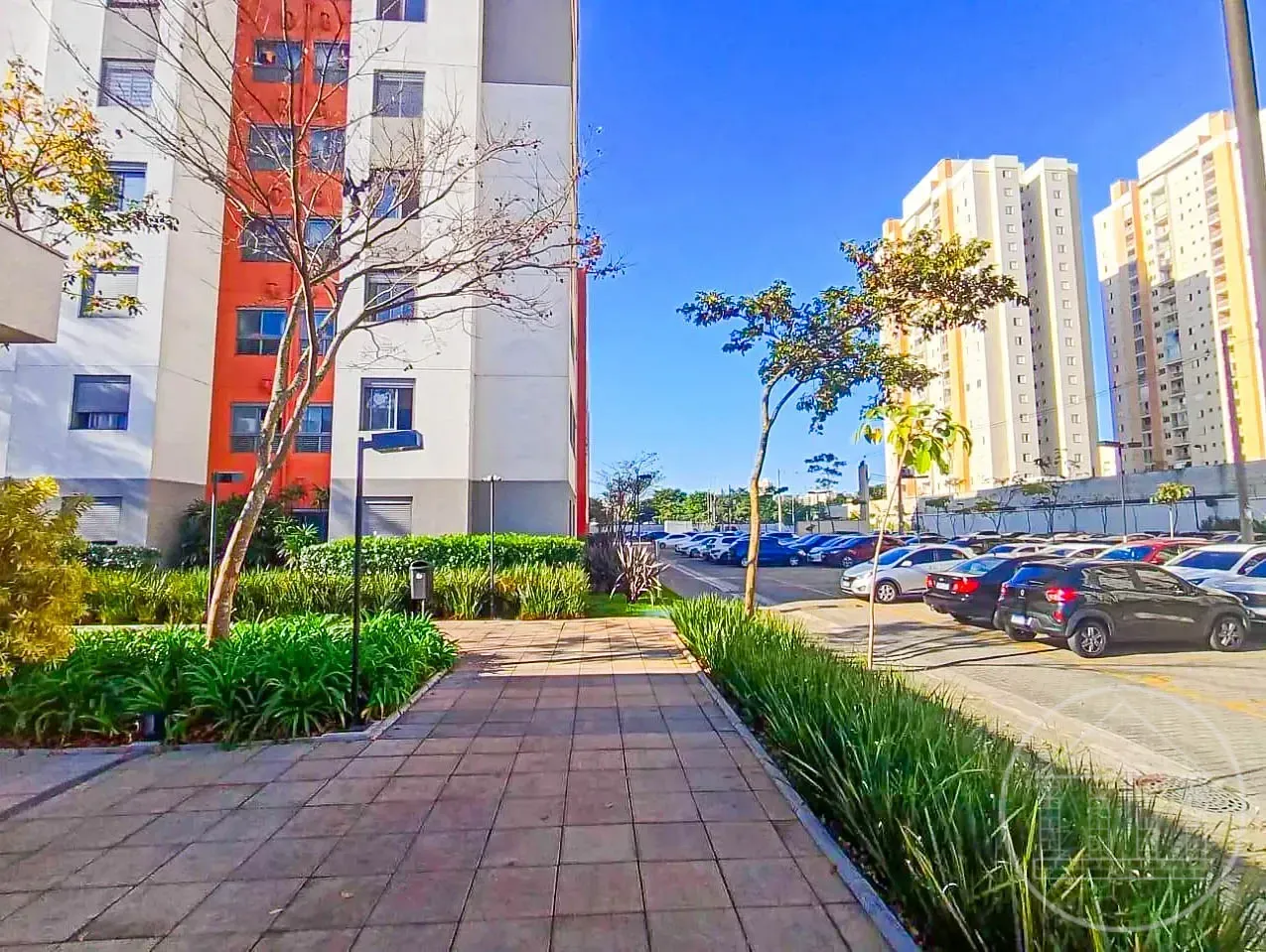 Apartamento, 3 quartos, 58 m² - Foto 7