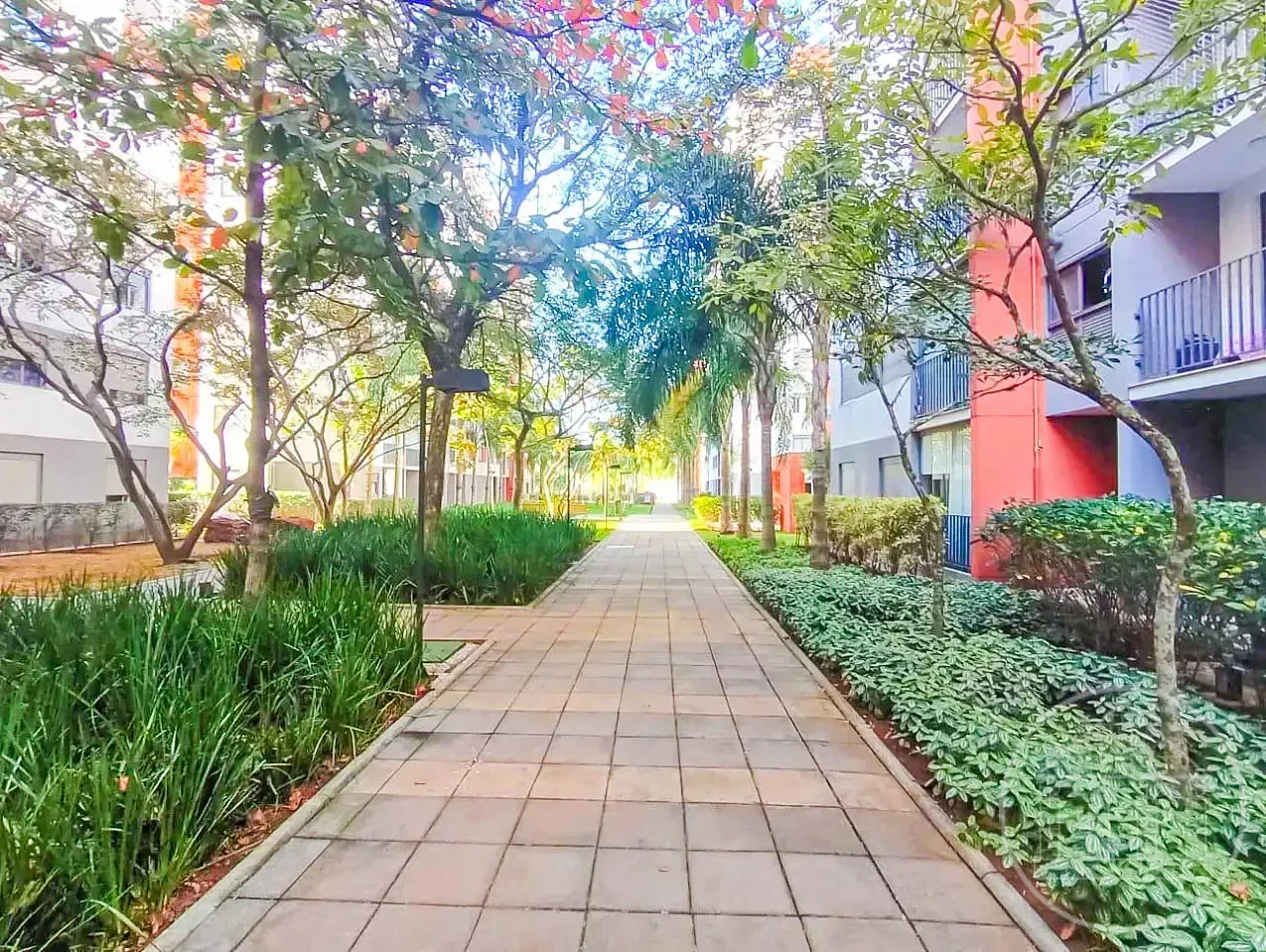 Apartamento, 3 quartos, 58 m² - Foto 8