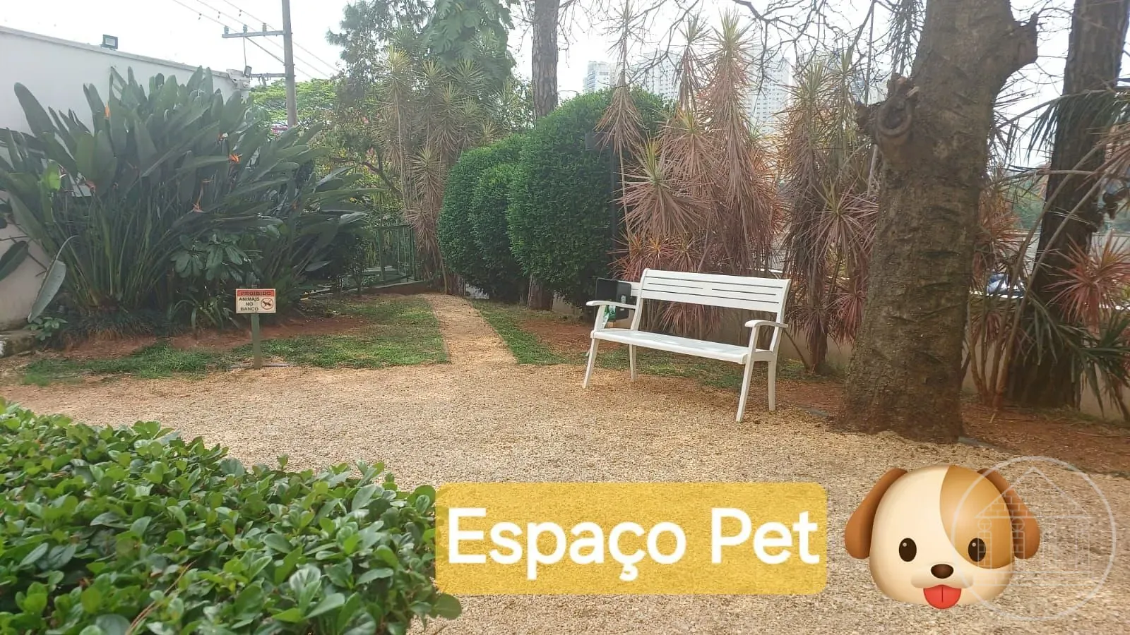 Apartamento, 3 quartos, 75 m² - Foto 21