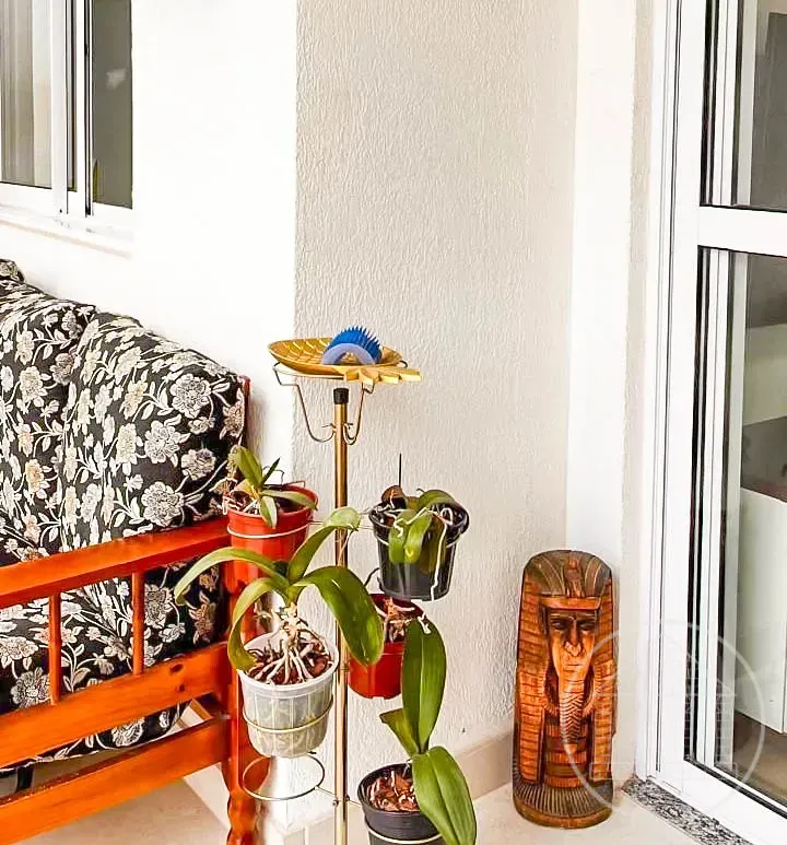 Apartamento, 3 quartos, 82 m² - Foto 6