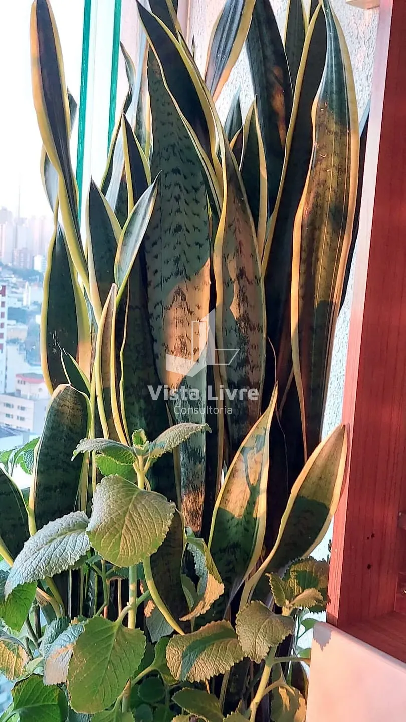 Apartamento, 1 quarto, 51 m² - Foto 20
