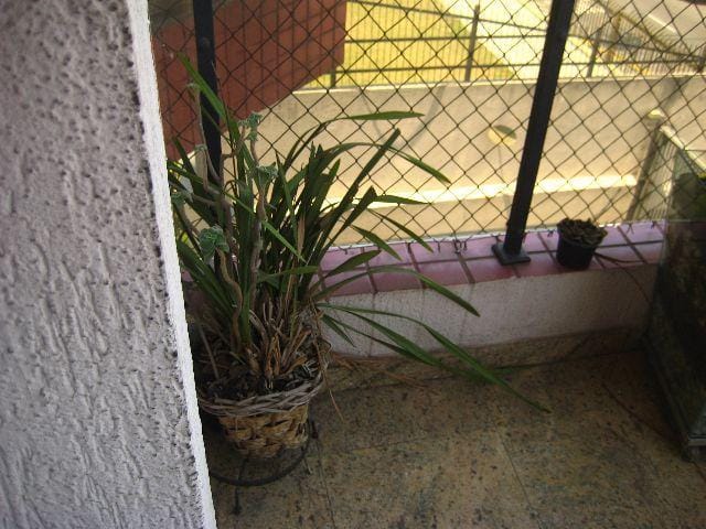 Foto do Apartamento - Apartamento residencial para locação, Tatuapé, São Paulo. | ZONA LESTE IMÓVEIS