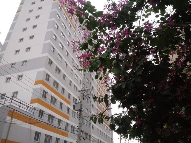 Apartamento com 38m² 2 quartos e 1 banheiro, à venda, no bairro Cambuci em São Paulo