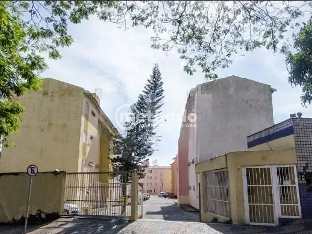 Apartamento com 73m² 3 quartos e 1 banheiro, à venda, no bairro Jardim Flamboyant em Campinas