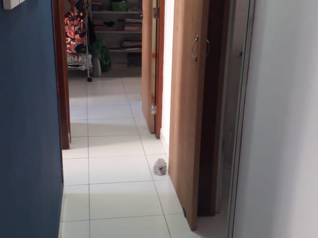 Apartamento com 90m² 3 quartos e 2 banheiros, à venda ou para alugar, no bairro Cambuci em São Paulo