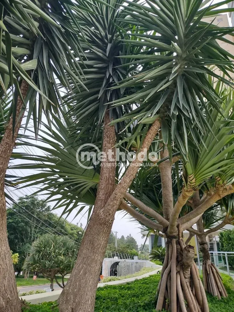 Apartamento, 3 quartos, 137 m² - Foto 29