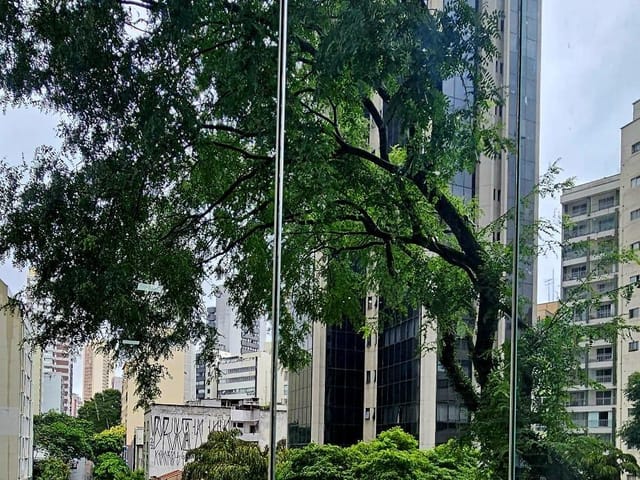 Apartamento com 240m² 3 quartos e 2 banheiros, à venda, no bairro Bela Vista em São Paulo