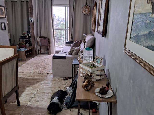 Apartamento com 75m² 3 quartos e 1 banheiro, à venda, no bairro Cambuci em São Paulo