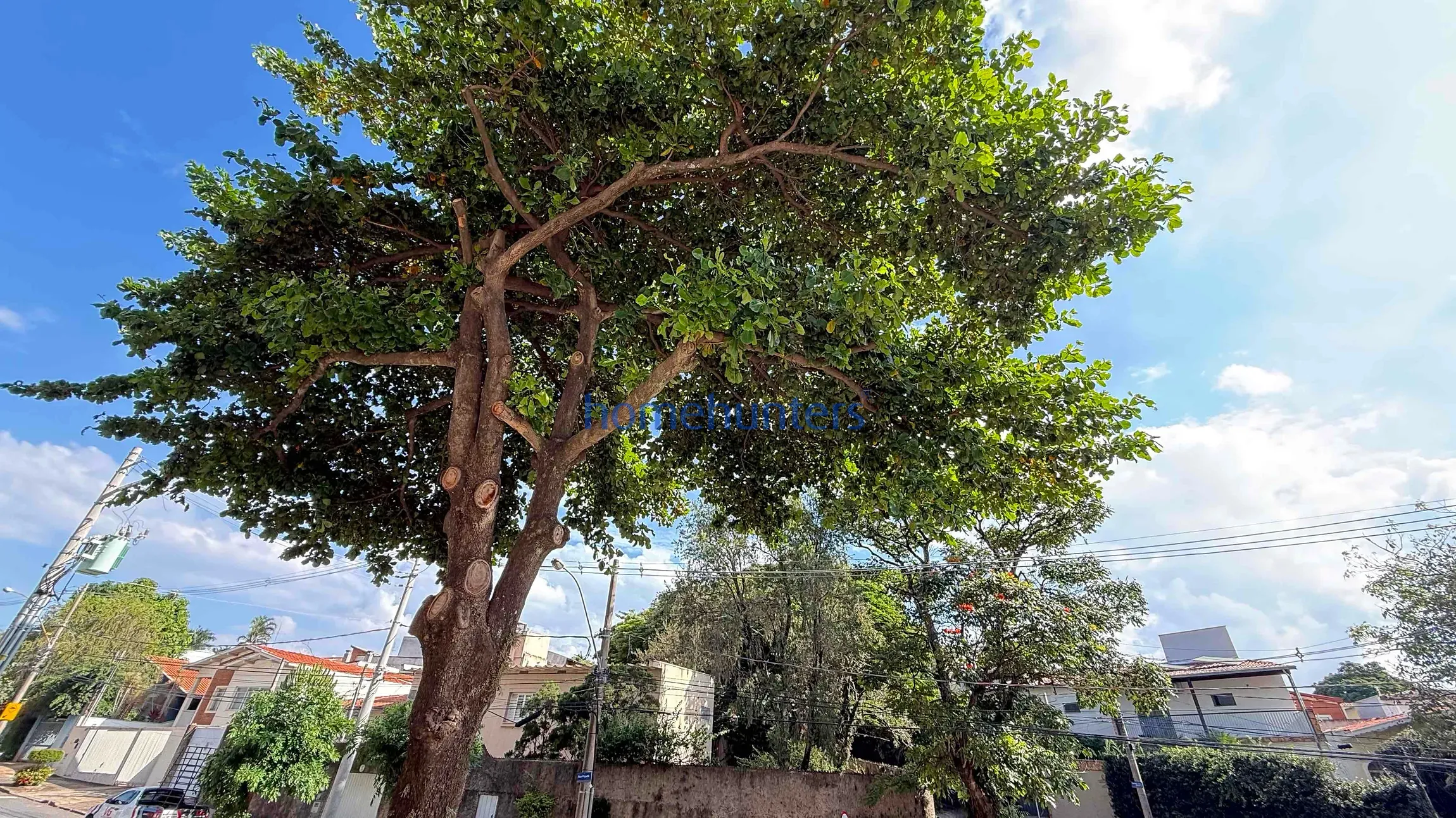 Apartamento, 2 quartos, 57 m² - Foto 34