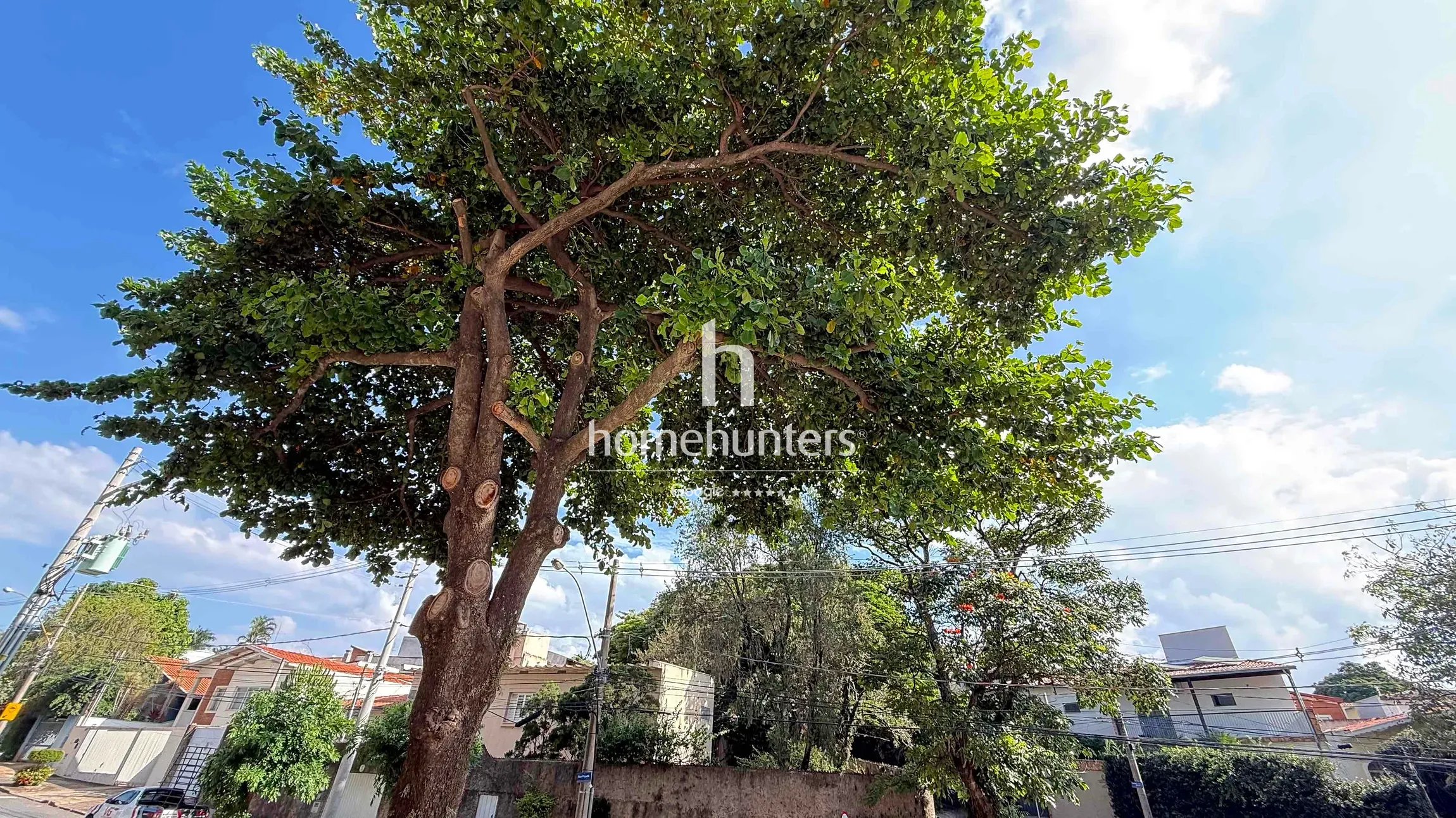 Apartamento, 2 quartos, 57 m² - Foto 34