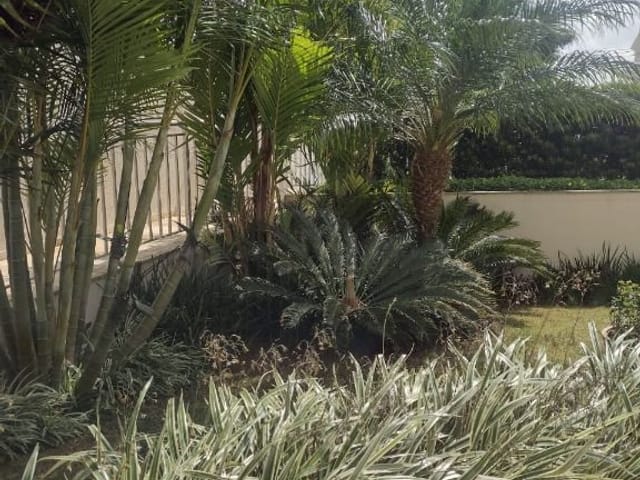 Foto do Apartamento - Apartamento à venda 2 Quartos, 1 Suite, 2 Vagas, 1500M², Vila Dom Pedro I, São Paulo - SP | Paseo de Las Rosas | ZONA LESTE IMÓVEIS