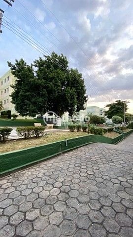 Apartamento, 2 quartos, 52 m² - Foto 8