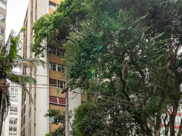 Apartamento com 228m² 4 quartos e 3 banheiros, à venda, no bairro Higienópolis em São Paulo