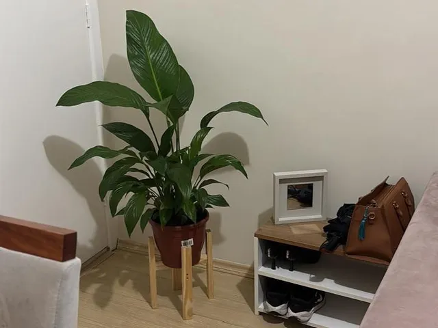 Apartamento com 52m² 2 quartos e 1 banheiro, à venda, no bairro Jardim Petrópolis em Cotia