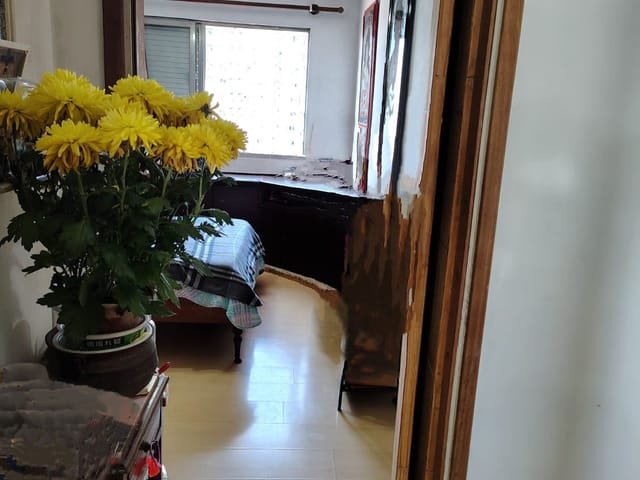 Apartamento com 93m² 3 quartos e 1 banheiro, à venda, no bairro Cambuci em São Paulo