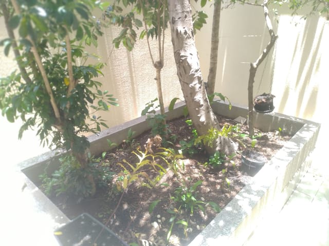 Foto do Apartamento - APTO À VENDA, 29M², 1 DORMITÓRIO, SALA E COZINHA, A 900 METROS DO METRÔ TUCURUVI-  VILA GUSTAVO, SÃO PAULO | Lares e Andares Imóveis