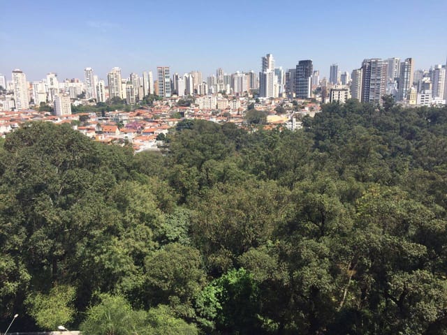 Apartamento com 90m² 3 quartos e 3 banheiros, à venda, no bairro Cambuci em São Paulo
