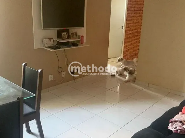 Apartamento com 49m² 2 quartos e 1 banheiro, à venda, no bairro Vl.Olimpia em Campinas