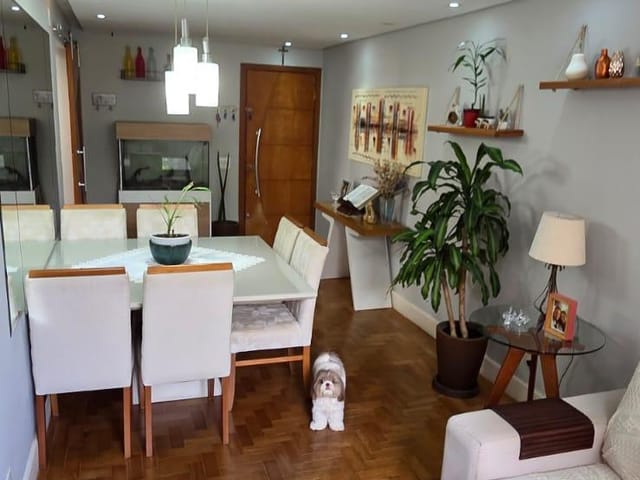 Apartamento com 74m² 2 quartos e 1 banheiro, à venda, no bairro Vila Santa Catarina em São Paulo