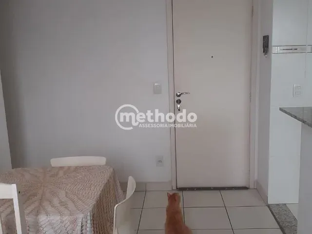 Apartamento com 47m² 2 quartos e 1 banheiro, à venda, no bairro Jardim Nova Europa em Campinas