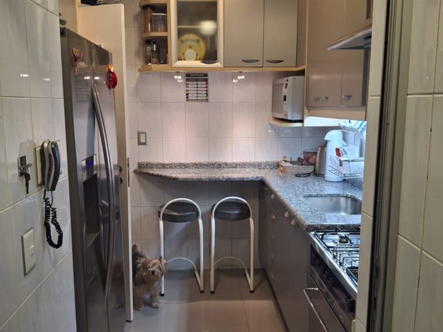 Apartamento 3 quartos e 2 banheiros, à venda, no bairro Cambuci em São Paulo
