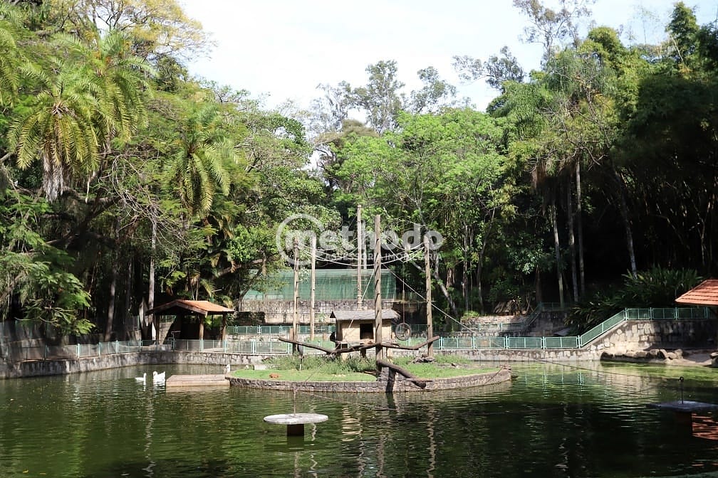 Apartamento, 1 quarto, 38 m² - Foto 12