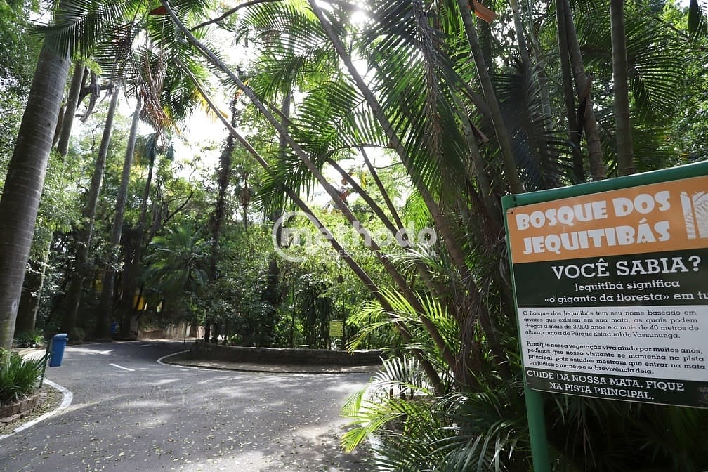 Apartamento, 1 quarto, 38 m² - Foto 13