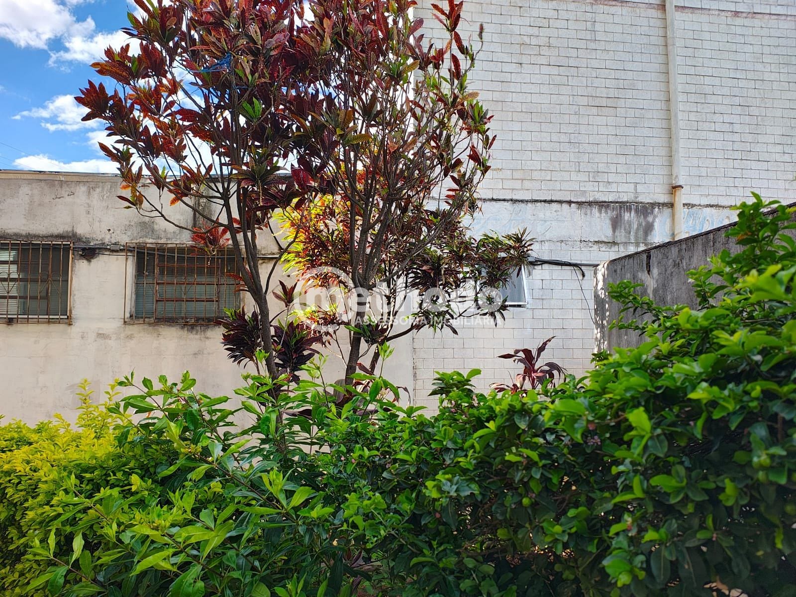 Apartamento, 2 quartos, 50 m² - Foto 14