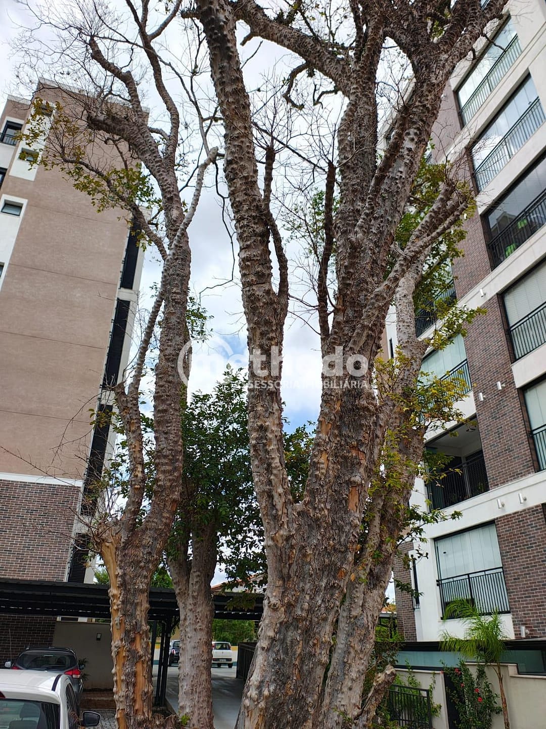 Apartamento, 3 quartos, 76 m² - Foto 25