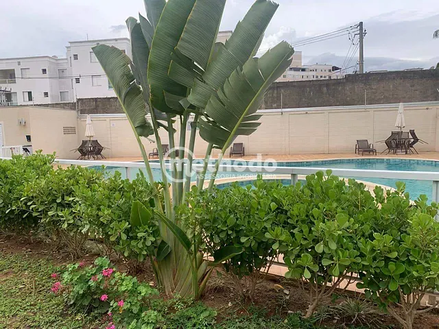 Apartamento com 52m² 2 quartos e 2 banheiros, à venda, no bairro Jardim Nova Europa em Campinas