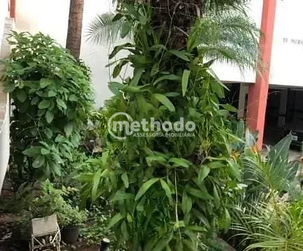 Apartamento, 2 quartos, 65 m² - Foto 15