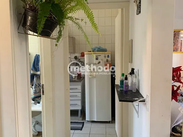 Apartamento com 49m² 2 quartos e 1 banheiro, à venda, no bairro Vila Ipê em Campinas