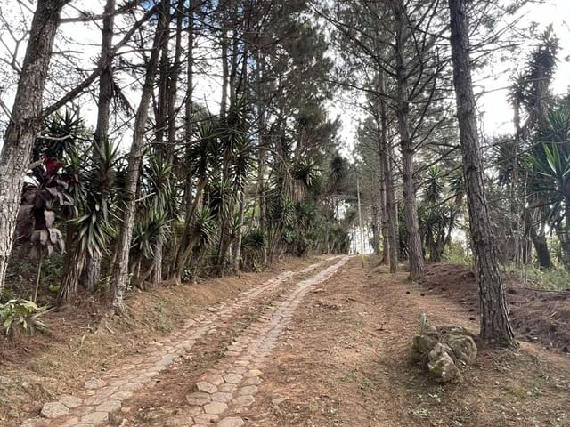 Foto do Terreno - Área à venda 18455.4M², Taboleiro Verde, Cotia - SP | Collina Imóveis