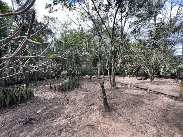 Foto do Terreno - Área à venda 18455.4M², Taboleiro Verde, Cotia - SP | Collina Imóveis