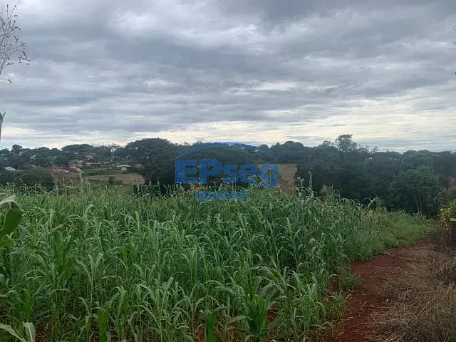 Terreno com 9000m², à venda, no bairro Maravilha em Maravilha (Londrina)