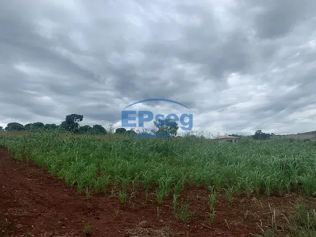 Terreno com 9000m², à venda, no bairro Maravilha em Maravilha (Londrina)