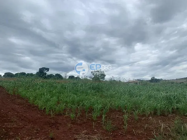 Terreno com 9000m², à venda, no bairro Maravilha em Maravilha (Londrina)