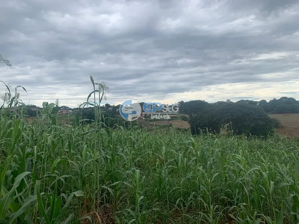 Terreno, 9000 m² - Foto 7