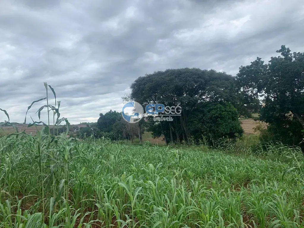 Terreno, 9000 m² - Foto 14