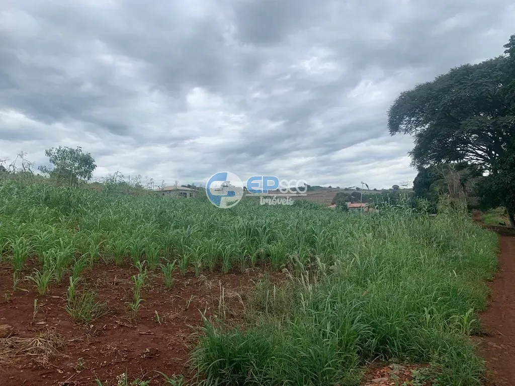 Terreno, 9000 m² - Foto 2