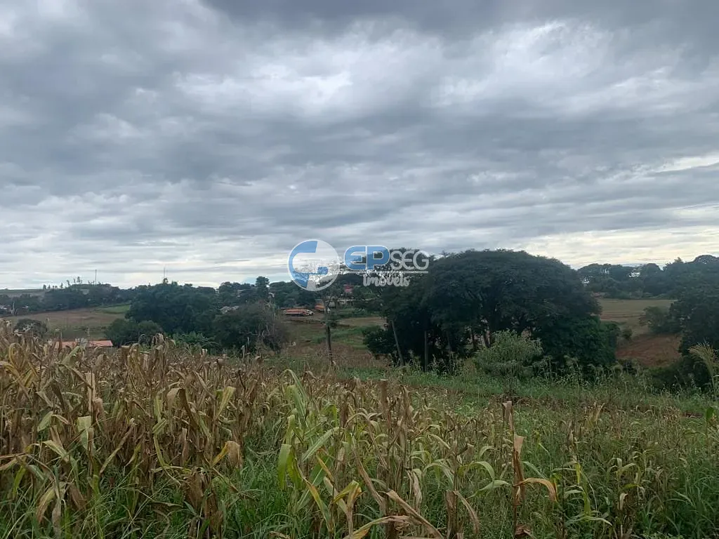 Terreno, 9000 m² - Foto 8