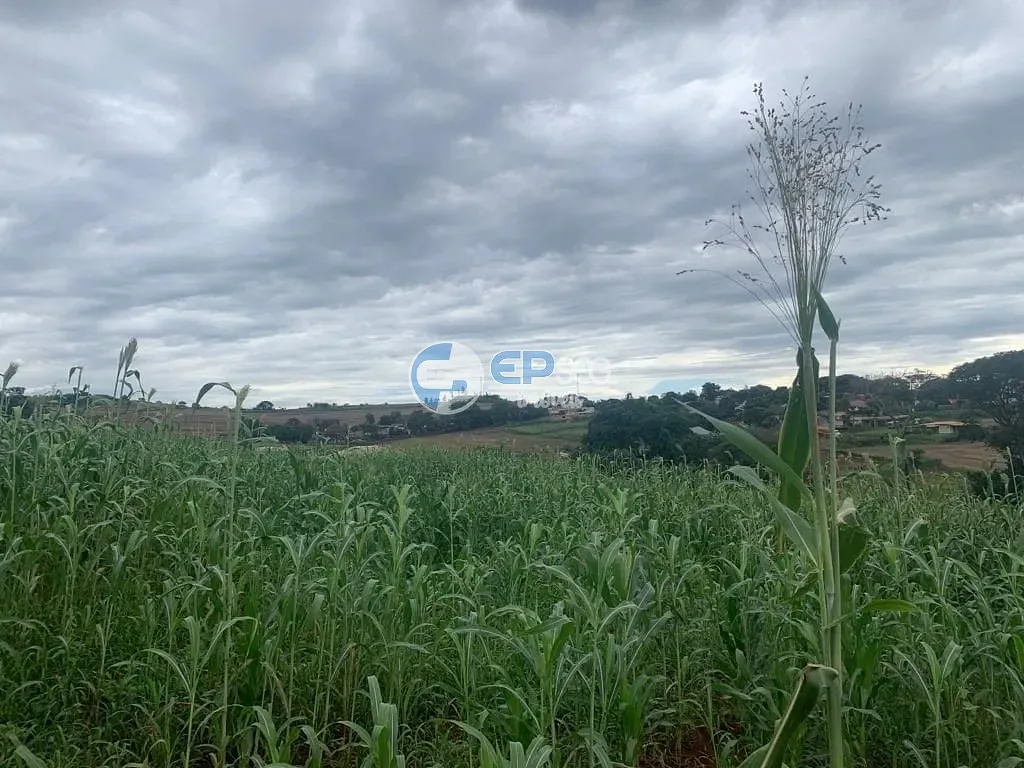 Terreno, 9000 m² - Foto 6