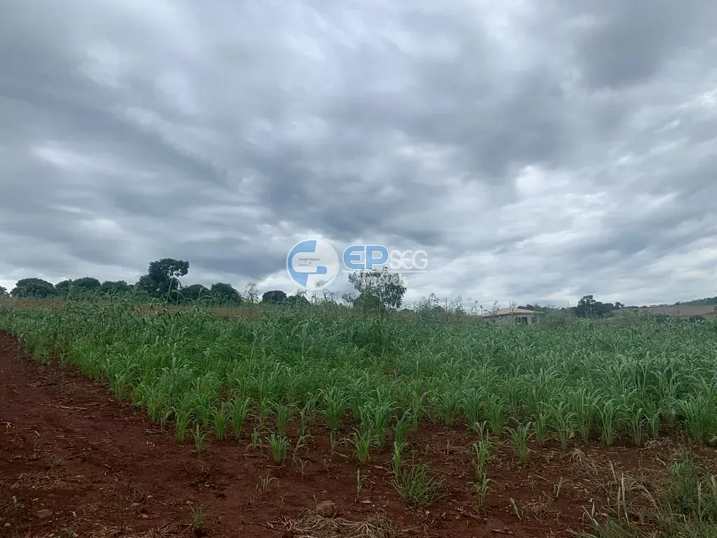 Terreno, 9000 m² - Foto 3