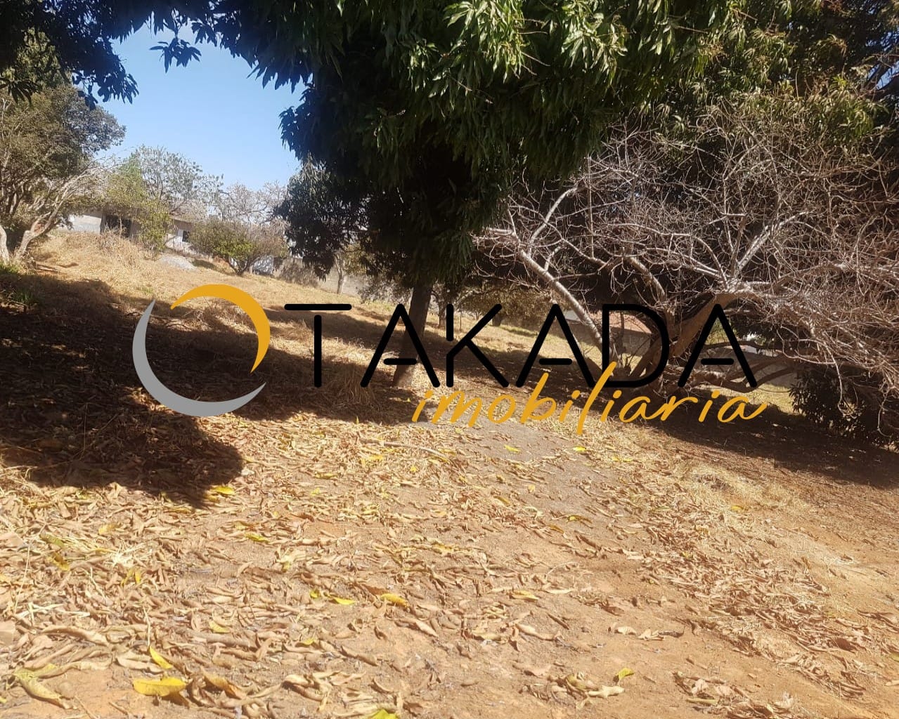 https://static.arboimoveis.com.br/AR0001_GOLD/area-a-venda-st-sul-formosa1628802627001djjmn.jpg