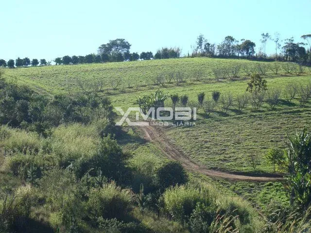 Área com 32991m², à venda, no bairro Fim do Campo em Jarinu