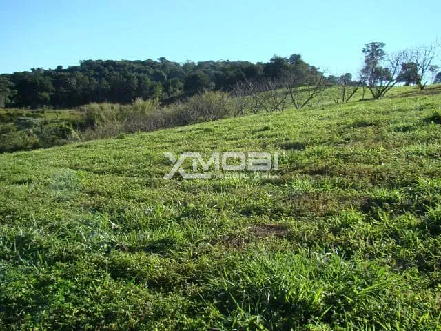 Área com 32991m², à venda, no bairro Fim do Campo em Jarinu