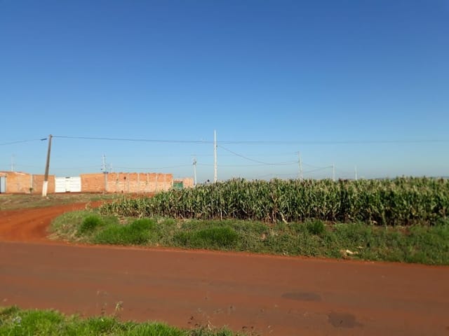 Foto do Terreno - Área à venda 121000M², Conjunto Habitacional Doutor José dos Santos Rocha, Cambé - PR | EVIDÊNCIA Imóveis
